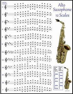 Alto Lead Saxophone Chart 12 Scales For Lead Sax Improvise 775x1000