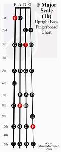 F Major Scale Upright Double Bass Fingerboard Notes Chart Cello In