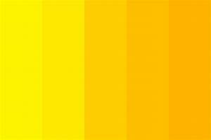 Golden Hour Color Palette Colorpalette Colorpalettes Colorschemes
