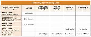 Introducing The Family Flock Line Of Poultry Feed Crystal Creek