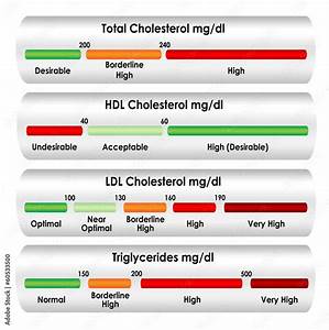 Cholesterol Chart In Mg Dl Units Of Measure Stock Illustration Adobe