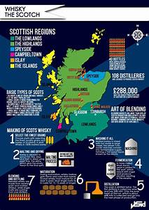 Scotch Whisky Infographic Scotch Whiskey Scotch Whisky Malt Whisky