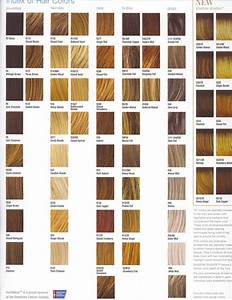 Shades Of Hair Color Chart Hairallstyles Trendy All Hair