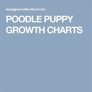 Poodle Puppy Growth Charts Puppy Growth Chart Growth Charts Poodle