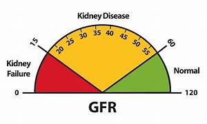 Gfr Kidney Test Kidney Health Kidney Donor Liver Health Kidney