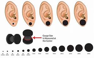 Body Piercing Charts Ears Jewelry Sizes Gauge Info Dog Breeds Picture