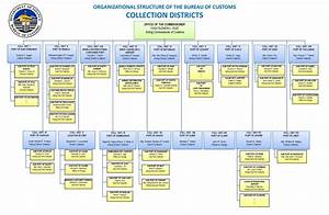 Organizational Chart Bureau Of Customs