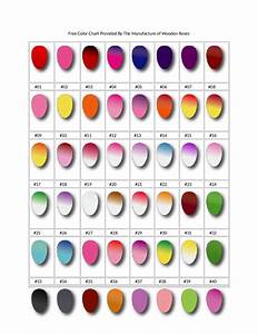 2024 Color Chart Fillable Printable Pdf Forms Handypdf