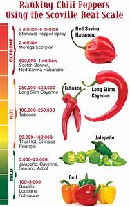  Peppers Muy Caliente American Chemical Society