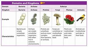 Classifying Living Things Marshscience7