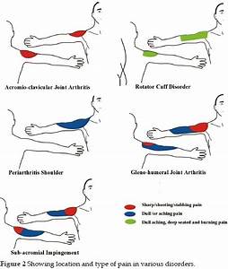 Role Of Mapping In Shoulder Disorders Singh International