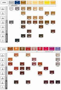 The 25 Best Shades Eq Color Chart Ideas On Pinterest Redken Color