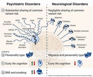 Research Shows Genetic Link Between Psychiatric Disorders Mcknight