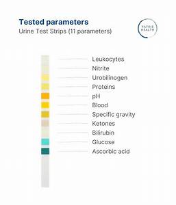 Urine Test Strips 11 Parameters For Home Urine Analysis