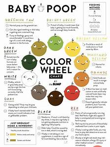 Know Your Color Chart Images And Photos Finder Images And Photos