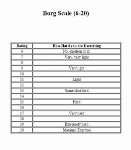 Borg Scale Rating Of Perceived Exertion