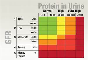 Kidney Function Levels Chart Normal Range
