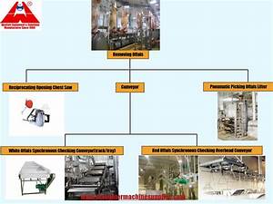 The Most Comprehensive Detailed Cattle Cow Abattoir Slaughter