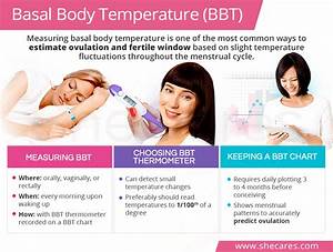 Measuring Basal Body Temperature Shecares