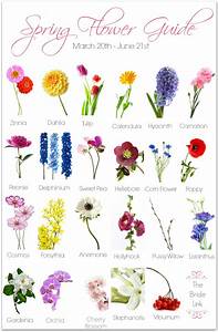 Different Types Of Flowers With Names Chart Imgkid Com The
