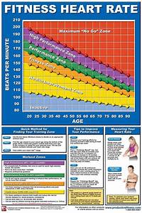 Heart Rate Chart Http Productivefitness Com Images