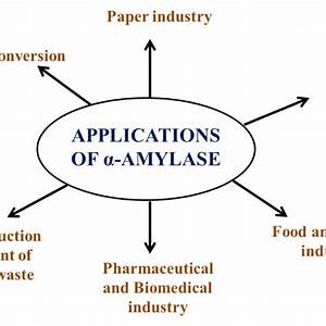 revenue generated by amylase production in baking industry usd