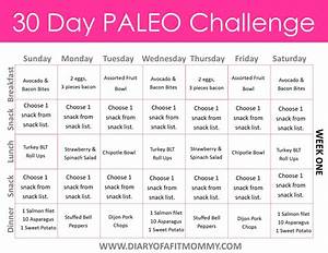 Diary Of A Fit 30 Day Paleo Challenge 30 Day Paleo Challenge