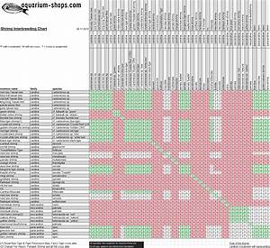 Kasun Hiranya Shrimp Crossbreeding Chart