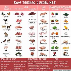 Barf Diet Chart Google Search Raw Dog Food Recipes Raw Feeding For