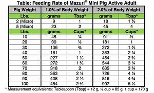 Show Pig Weight Gain Chart