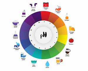 Ph Scale Chart Vector Illustration Stock Vector Exty 77317112