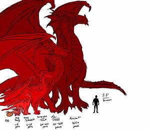 Dungeons N Dragons Dragon Size Chart By Ladyadriela On Deviantart