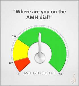 A Pursuit To Perpetuate My Genes How Can I Increase My Amh Levels