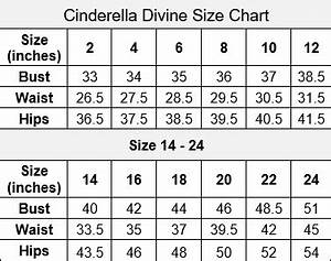 Floral Applique Strapless Fitted Gown By Cinderella Cb046 Abc