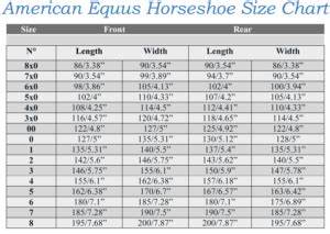 Monobloc High Goal Sport Horseshoes Hind Shoe American Equus