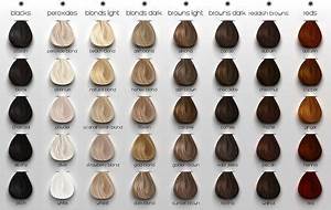Ash Hair Color Chart Google Search Peinados Cabel