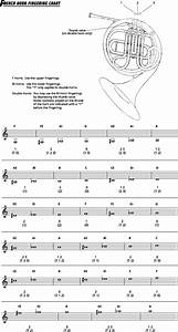 Grifftabellen Trompete B Doppelhorn F B Gesucht Seite 2