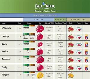The Fall Creek Raspberry Variety Chart Is Shown In This Screenshot From