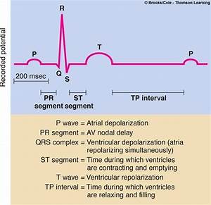 Deflection Point Generated By Ventricular Repolarization Wave