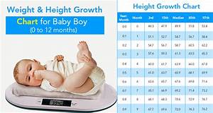 A Helpful Baby Weight And Height Growth Chart By Month For A Baby Boy