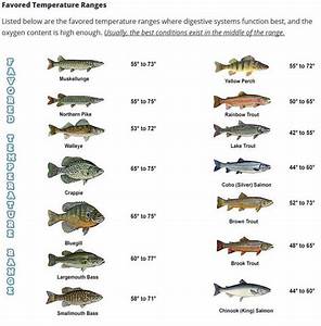 List Of Fish Showing Favored Water Temperatures At Mepps Com Fish