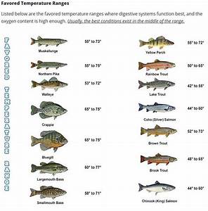 list of fish showing favored water temperatures at mepps com fish