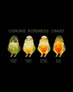 Conure Ripeness Chart Digital Art By Harvey Waters