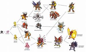 Evolution Chart Pokemon