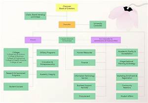 Discover The Structure Of Our University