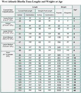 Bft Weight Chart Jpg 589 X 679 100 With Images Weight Charts