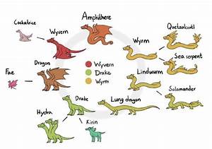 Guide To Different Types Of Dragons R Coolguides