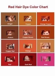 Red Hair Color Chart And Shades