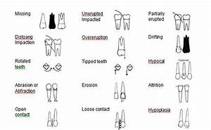 Dental Charting Practice Quiz Focus