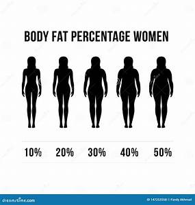 Body Fat Percentage Women Stock Illustration Illustration Of Healthy